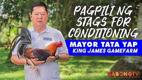 Pagpili ng Stags for Conditioning with Mayor Tata Yap October 16, 2022